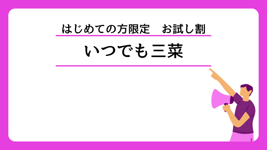 お試し割いつでも三菜